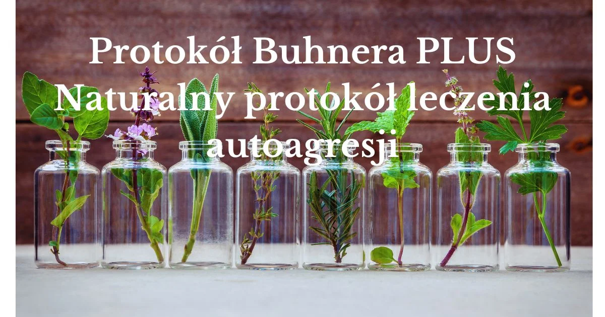 #1 Protokół leczenia autoagresji spowodowanej zakażeniami bakteryjnymi i wirusami. SM, CFS, PCOS, RZS, etc. Schemat antybiotykoterapii.