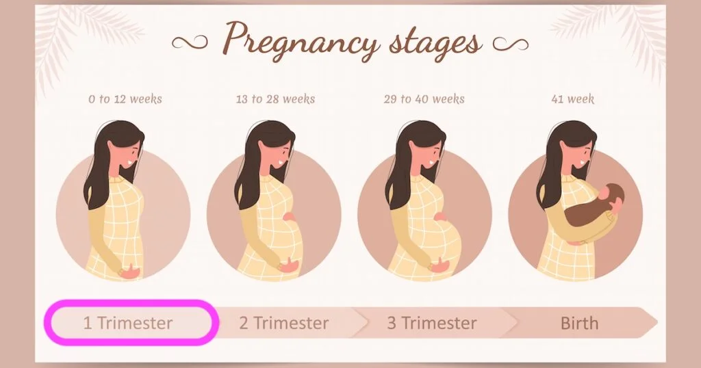 I Pierwszy trymestr ciąży: podróż ku macierzyństwu I Pierwszy trymestr ciąży: podróż ku macierzyństwu