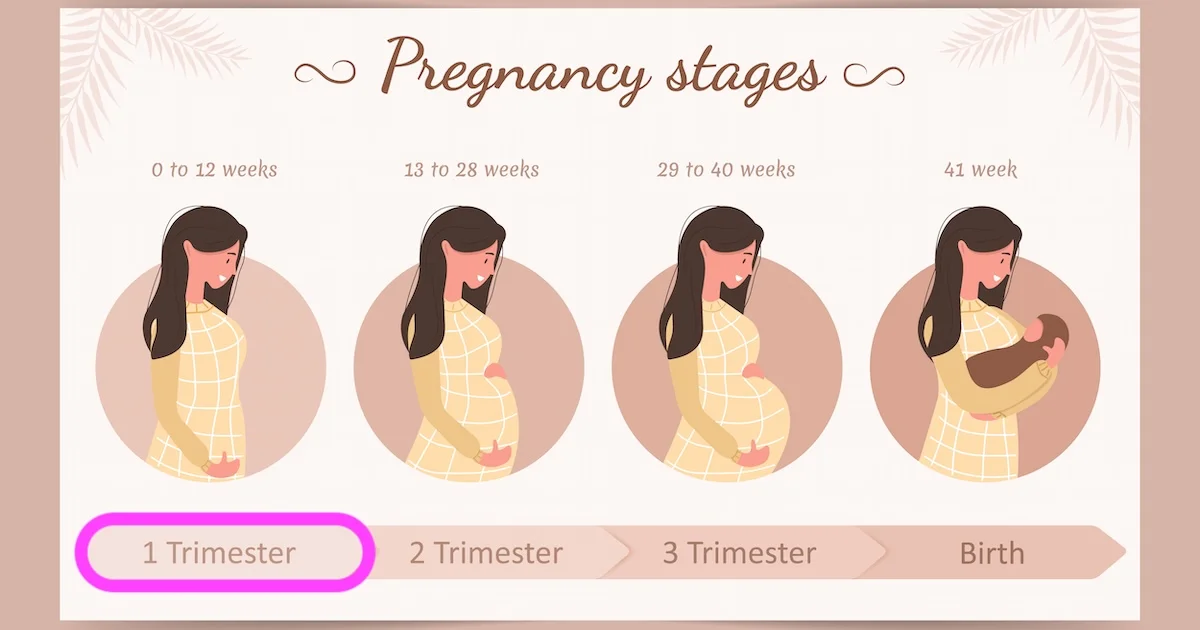 II Drugi trymestr ciąży: czas dynamicznych zmian dla Matki i Dziecka II Drugi trymestr ciąży: czas dynamicznych zmian dla Matki i Dziecka