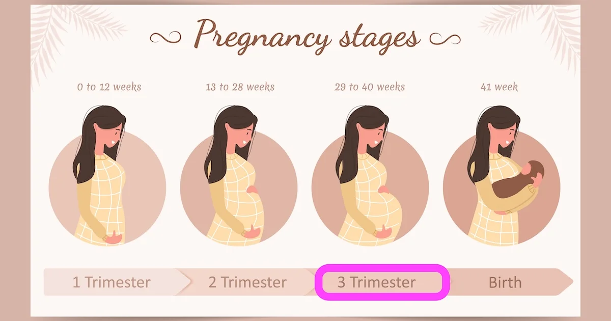 II Drugi trymestr ciąży: czas dynamicznych zmian dla Matki i Dziecka II Drugi trymestr ciąży: czas dynamicznych zmian dla Matki i Dziecka